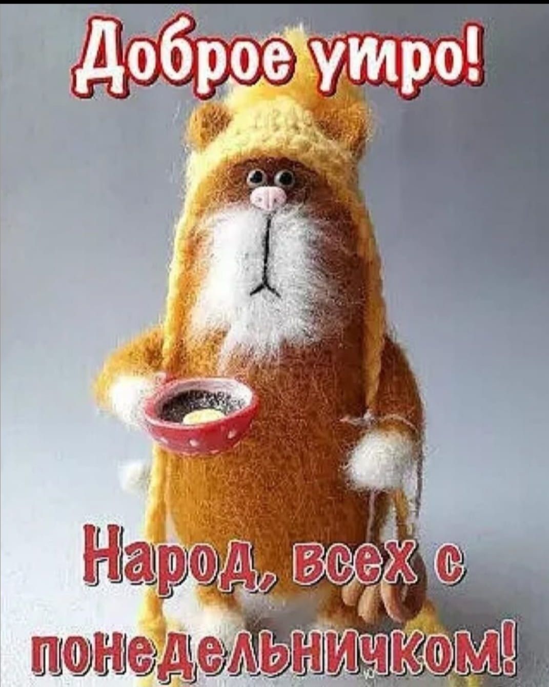 Доброе утро!
Народ, всех с понедельничиком!