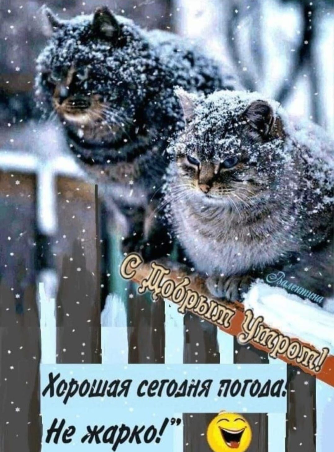 С Новым Годом! Хорошая сегодня погода! Не жарко!