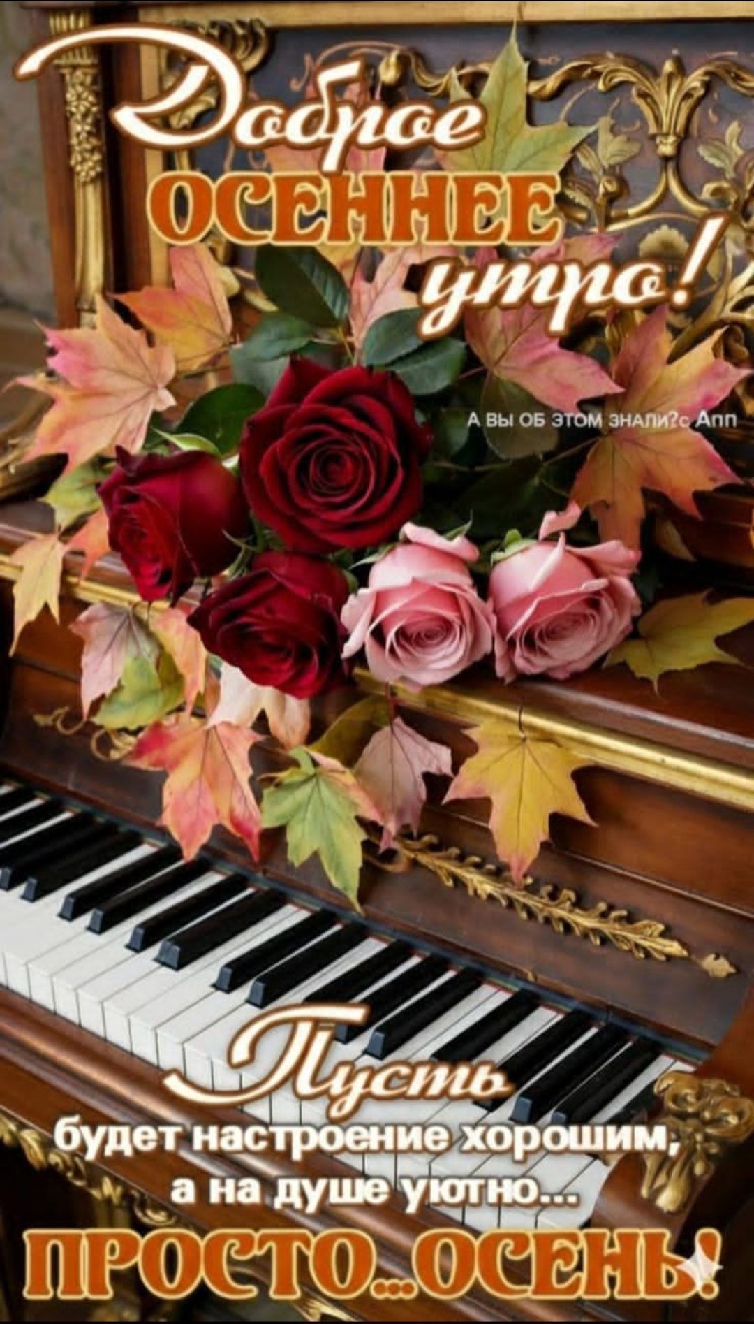 Доброе осеннее утро! А вы об этом знали? Ann Пусть будет настроение хорошим, а на душе уютно... ПРОСТО... ОСЕНЬ!