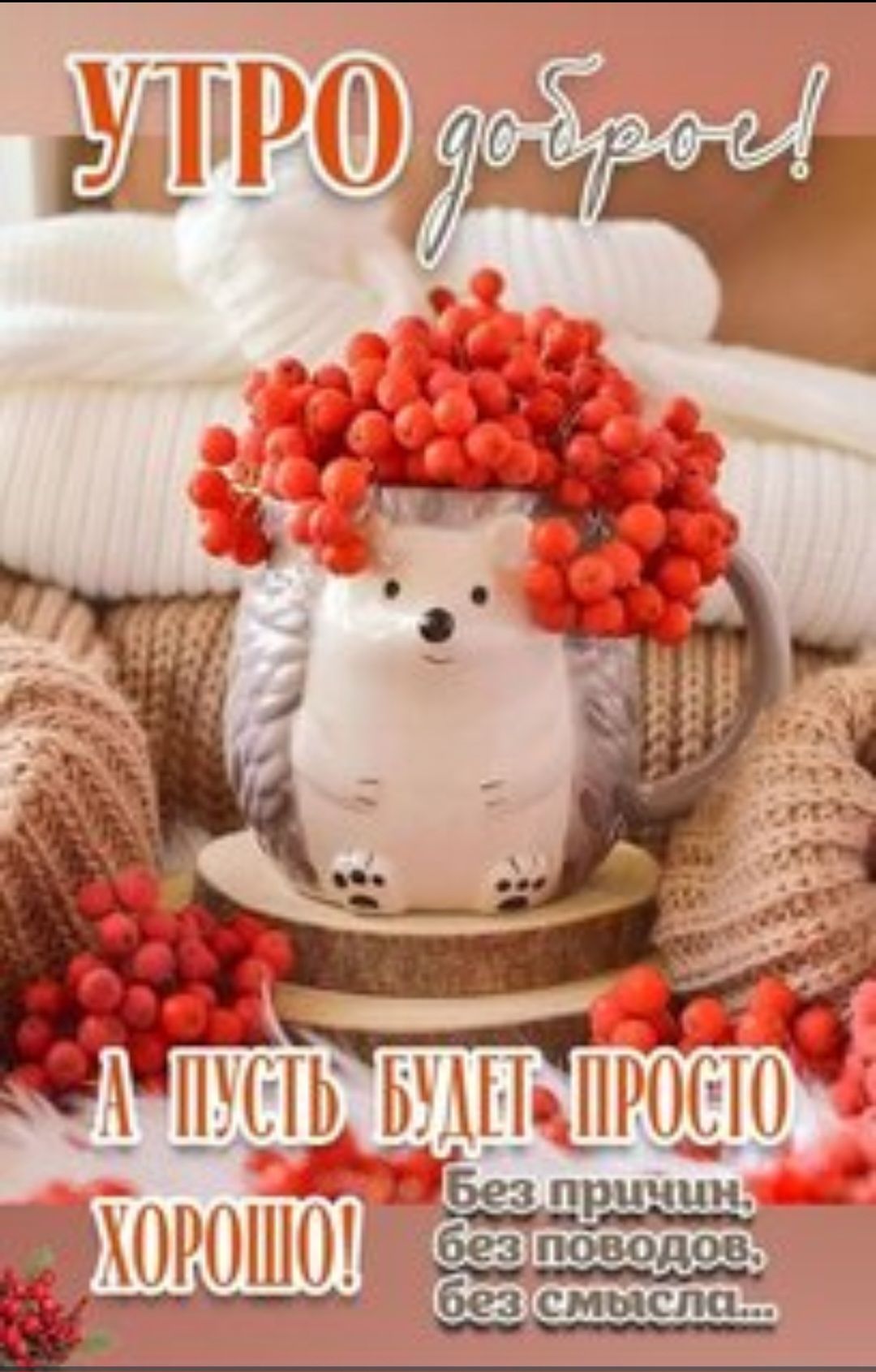 УТРО good-бро! А пусть будет просто ХОРОШО! Без причин, без поводов, без смысла...