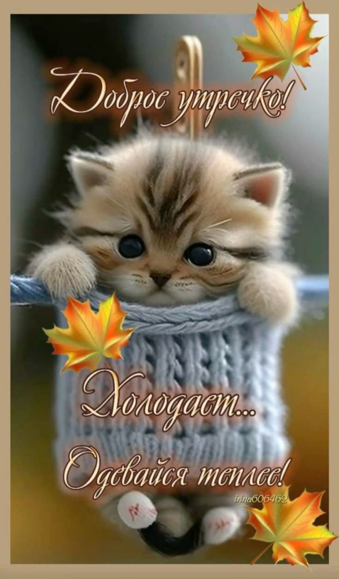 Доброе утречко! Холодает... Одевайся теплее!