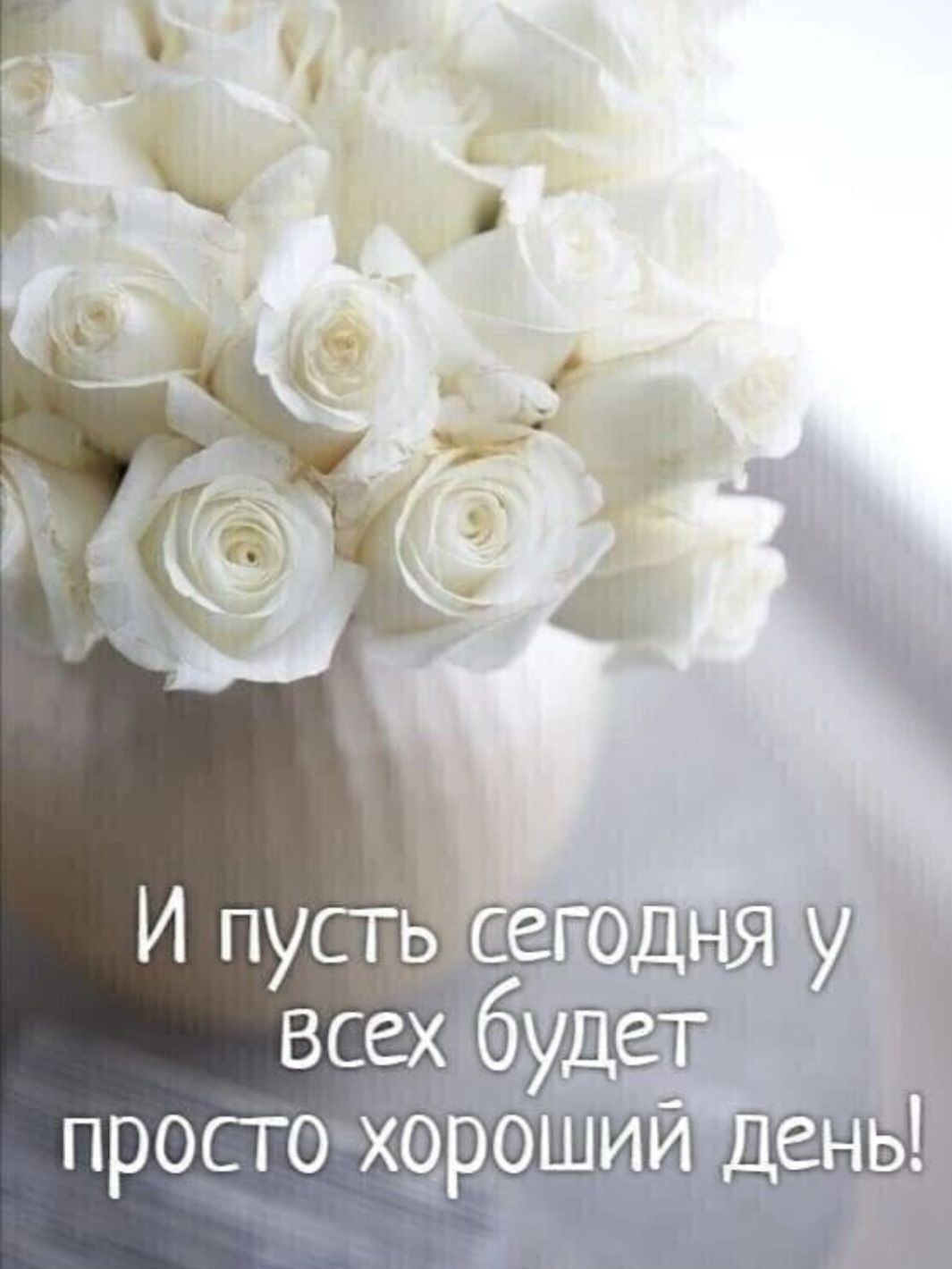 И пусть сегодня у всех будет просто хороший день!