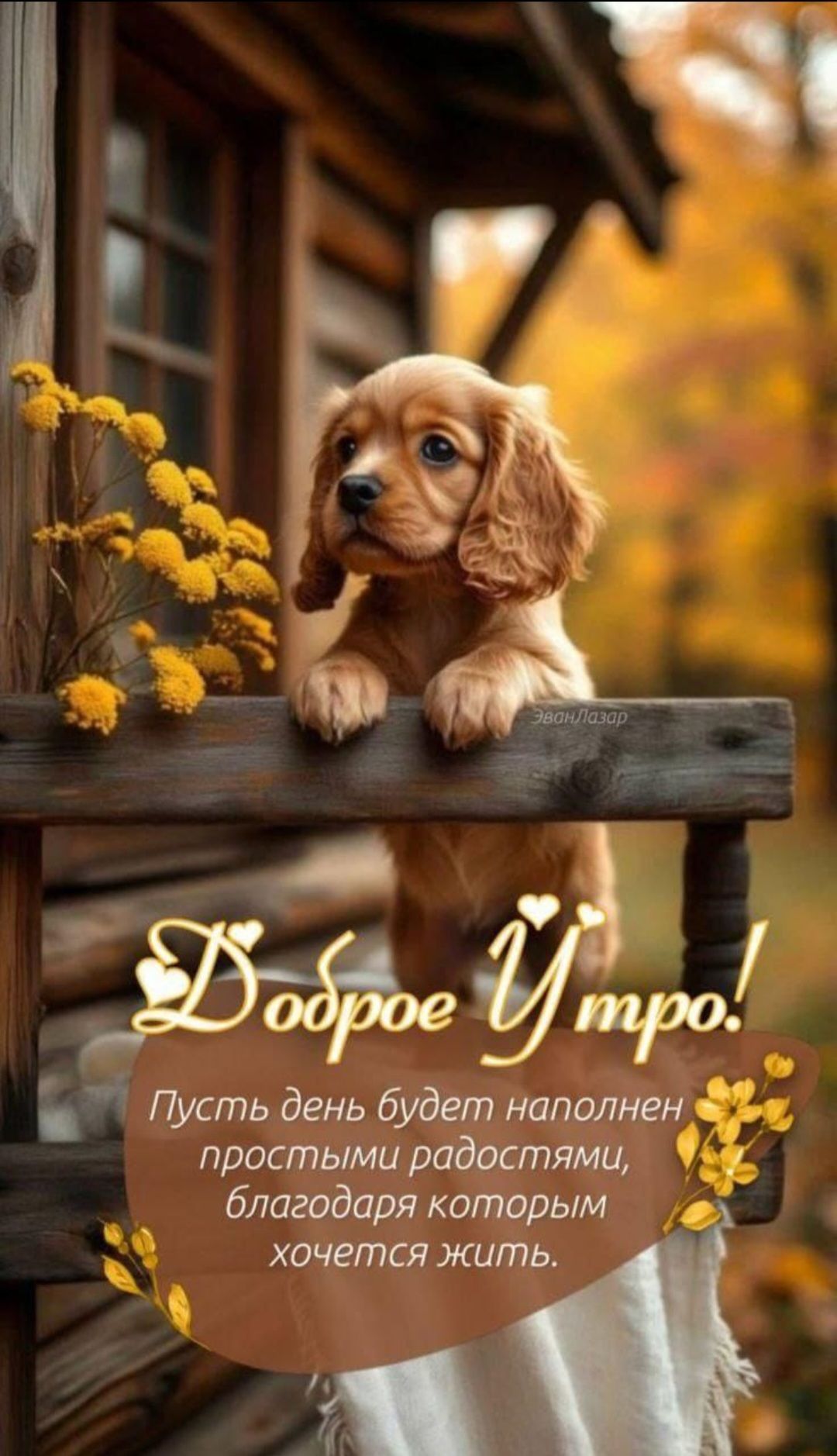 Доброе утро! Пусть день будет наполнен простыми радостями, благодаря которым хочется жить.