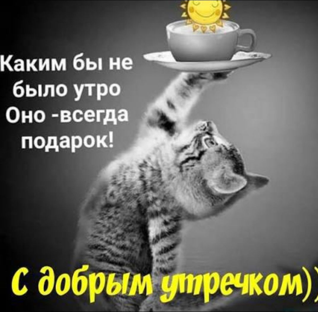 Каким бы не было утро, Оно — всегда подарок! С добрым утречком