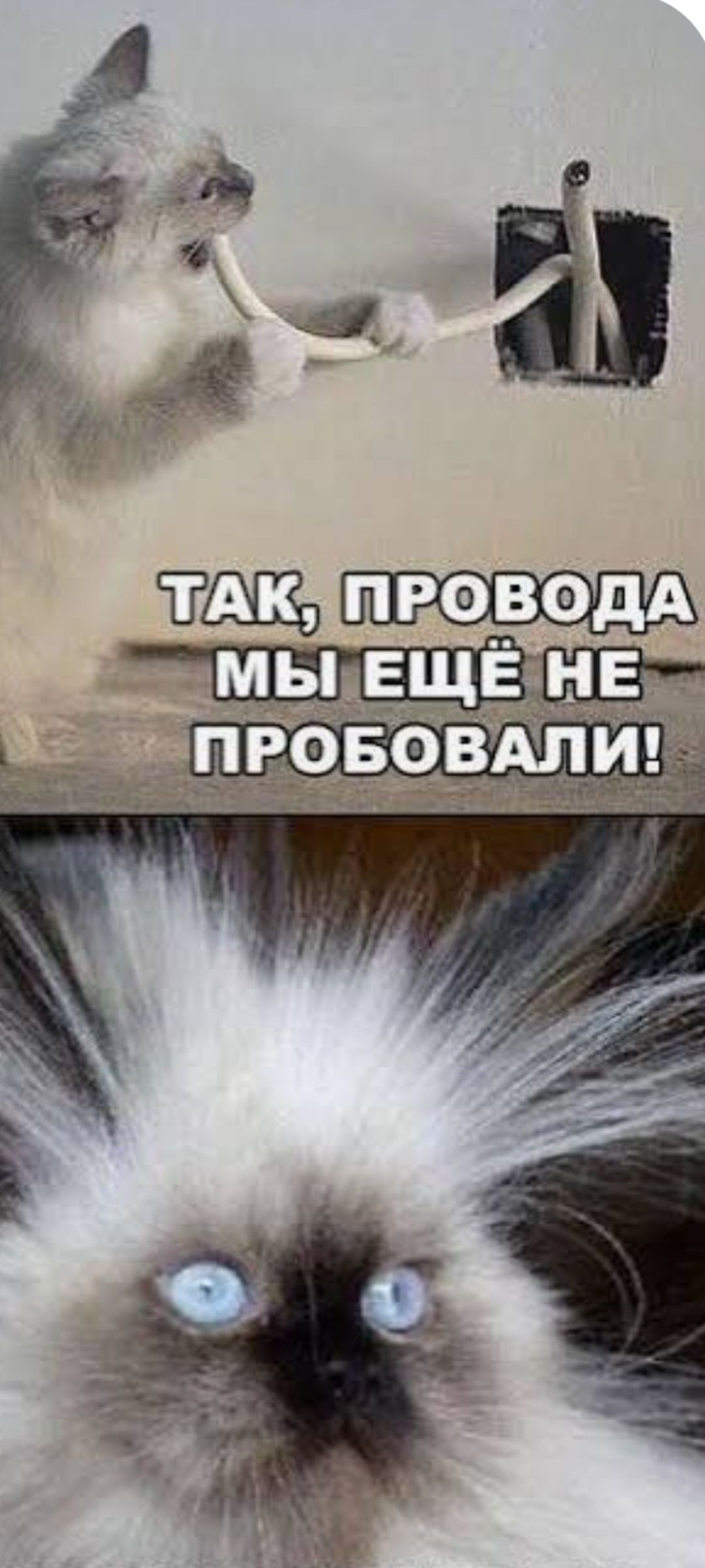 ТАК, ПРОВОДА МЫ ЕЩЁ НЕ ПРОБОВАЛИ!