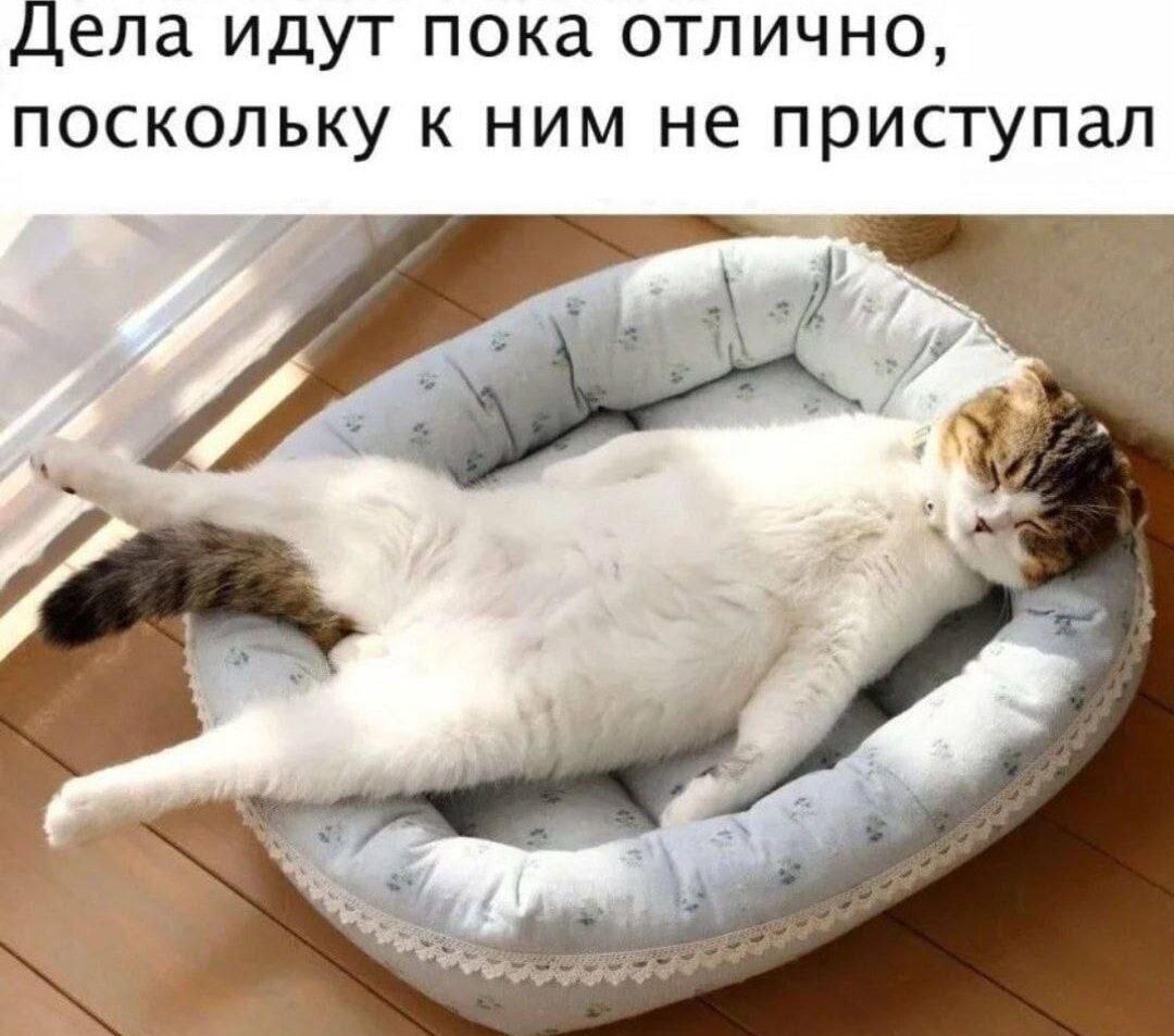 Дела идут пока отлично, поскольку к ним не приступал