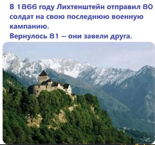 В 1866 году Лихтенштейн отправил 80 солдат на свою последнюю военную кампанию. Вернулось 81 — они завели друга.