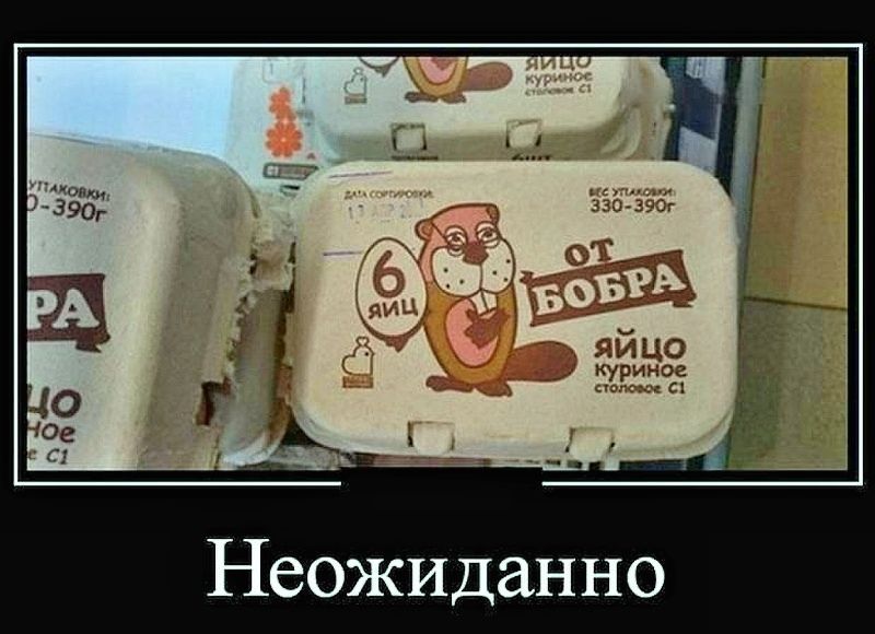 Неожиданно
6 яиц • от бобра • яйцо куриное