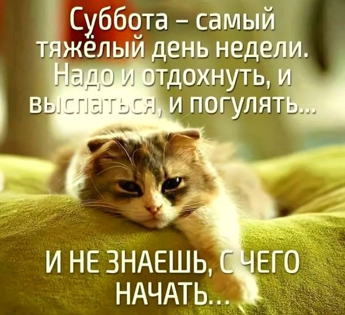 Суббота - самый тяжёлый день недели. Надо и отдохнуть, и высыпаться, и погулять... И не знаешь, с чего начать...