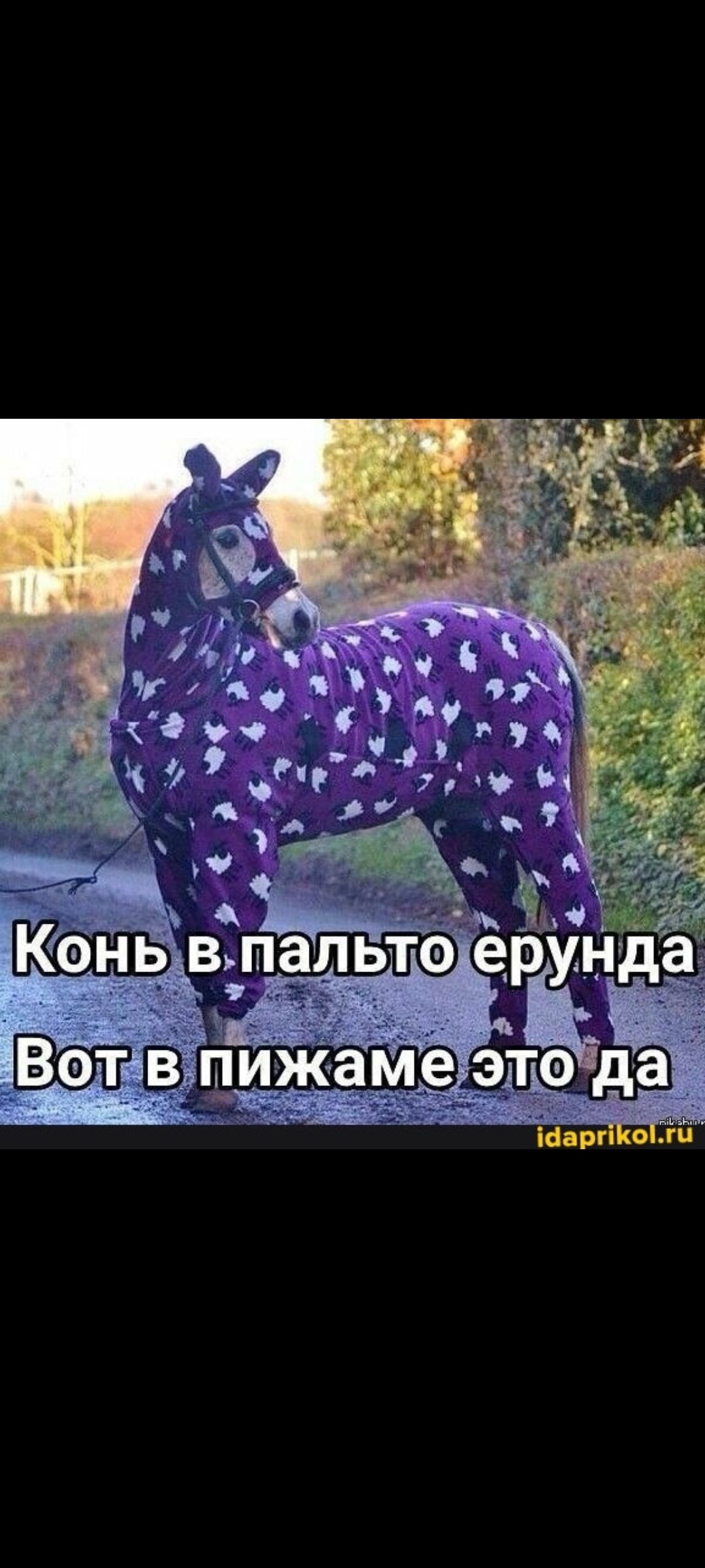 Конь в пальто ернда
Вот в пижаме это да