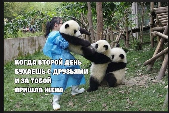 КОГДА ВО ВТОРОЙ ДЕНЬ БУХНЕШЬ С ДРУЗЬЯМИ И ЗА ТОБОЙ ПРИШЛА ЖЕНА