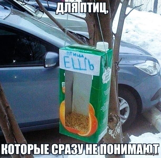 ДЛЯ ПТИЦ. КОТОРЫЕ СРАЗУ НЕ ПОНИМАЮТ