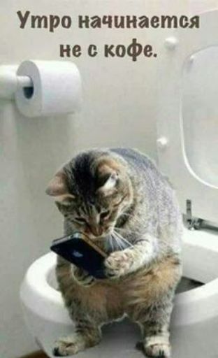 Утро начинается не с кофе.