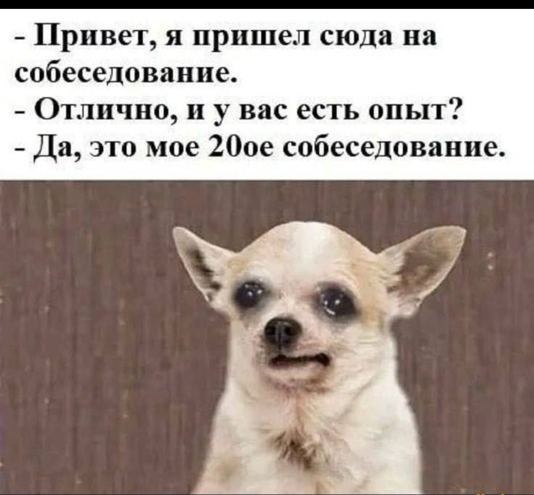 - Привет, я пришёл сюда на собеседование. - Отлично, и у вас есть опыт? - Да, это моё 20ое собеседование.