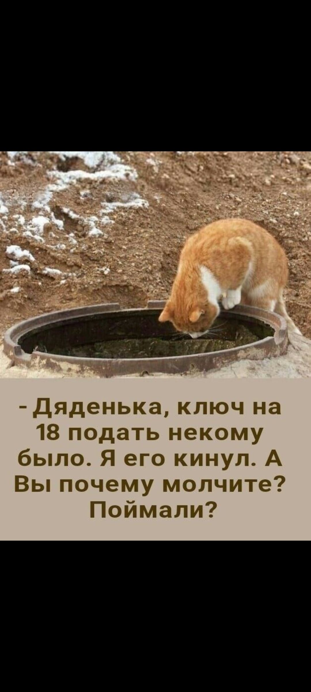 - Дяденька, ключ на 18 поддать некому было, Я его кинул. А Вы почему молчите? Поймали?