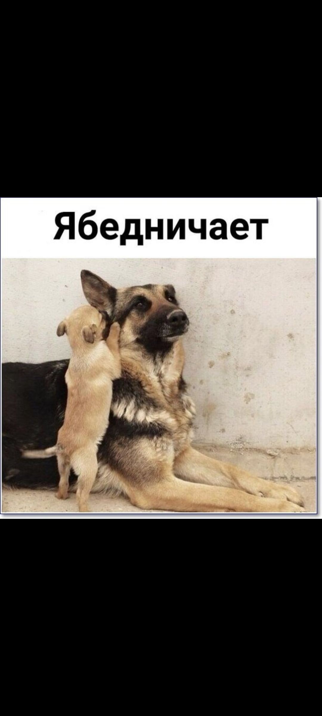 Ябедничает