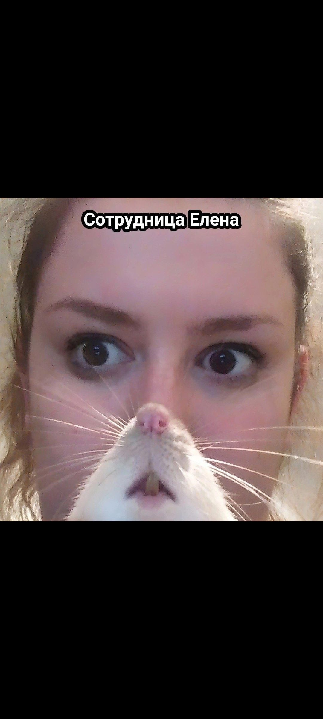 Сотрудница Елена