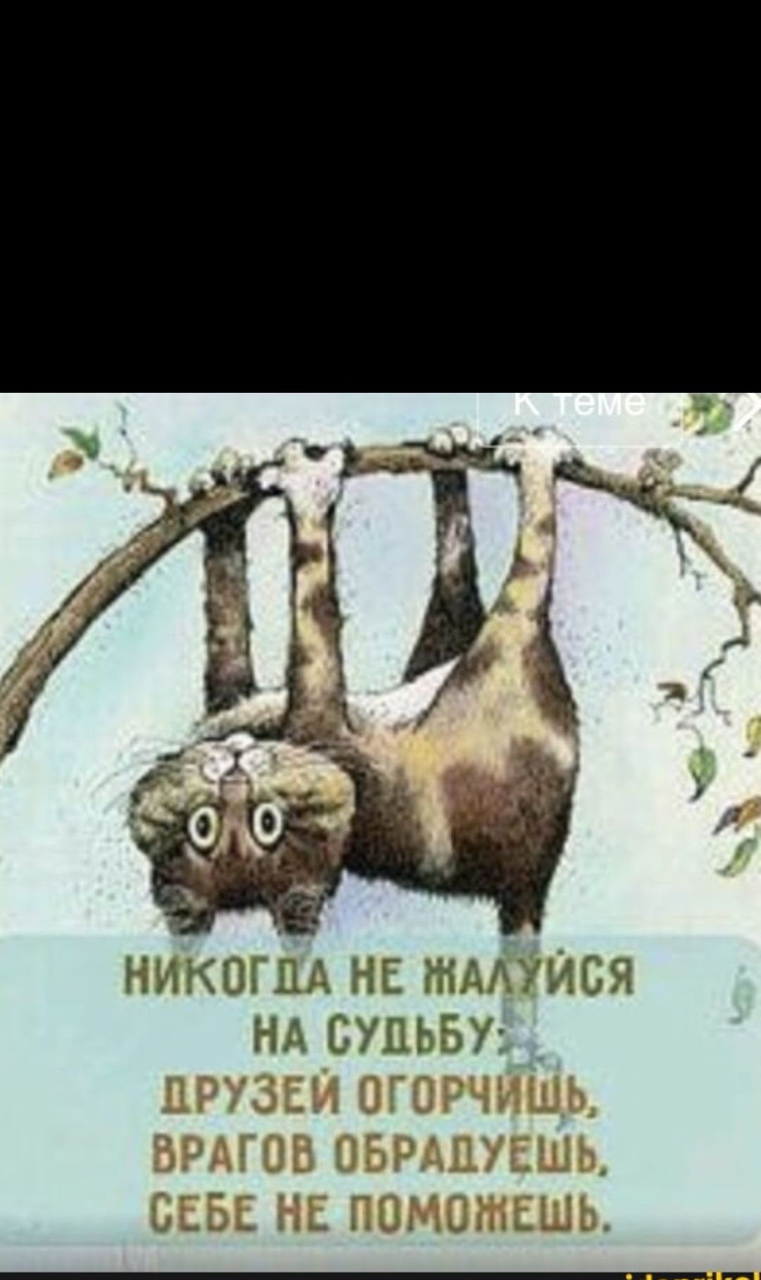 НИКОГДА НЕ ШАЛУЙСЯ НА СУДЬБУ, ДРУЗЕЙ ОГОРЧИШЬ, ВРАГОВ ОБРАДУЕШЬ, СЕБЕ НЕ ПОМОЖЕШЬ.