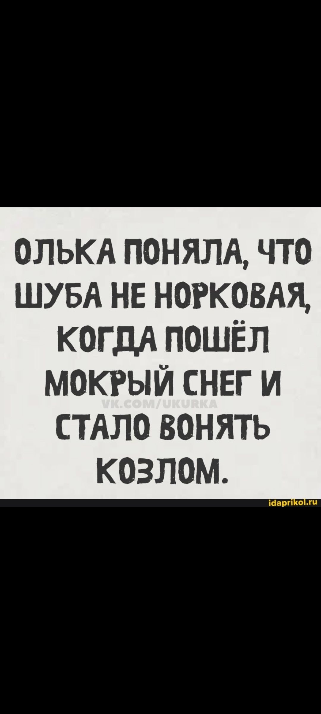 ОЛЬКА ПОНЯЛА, ЧТО ШУБА НЕ НОРКОВАЯ, КОГДА ПОШЁЛ МОКРЫЙ СНЕГ И СТАЛО ВОНЯТЬ КОЗЛОМ.
