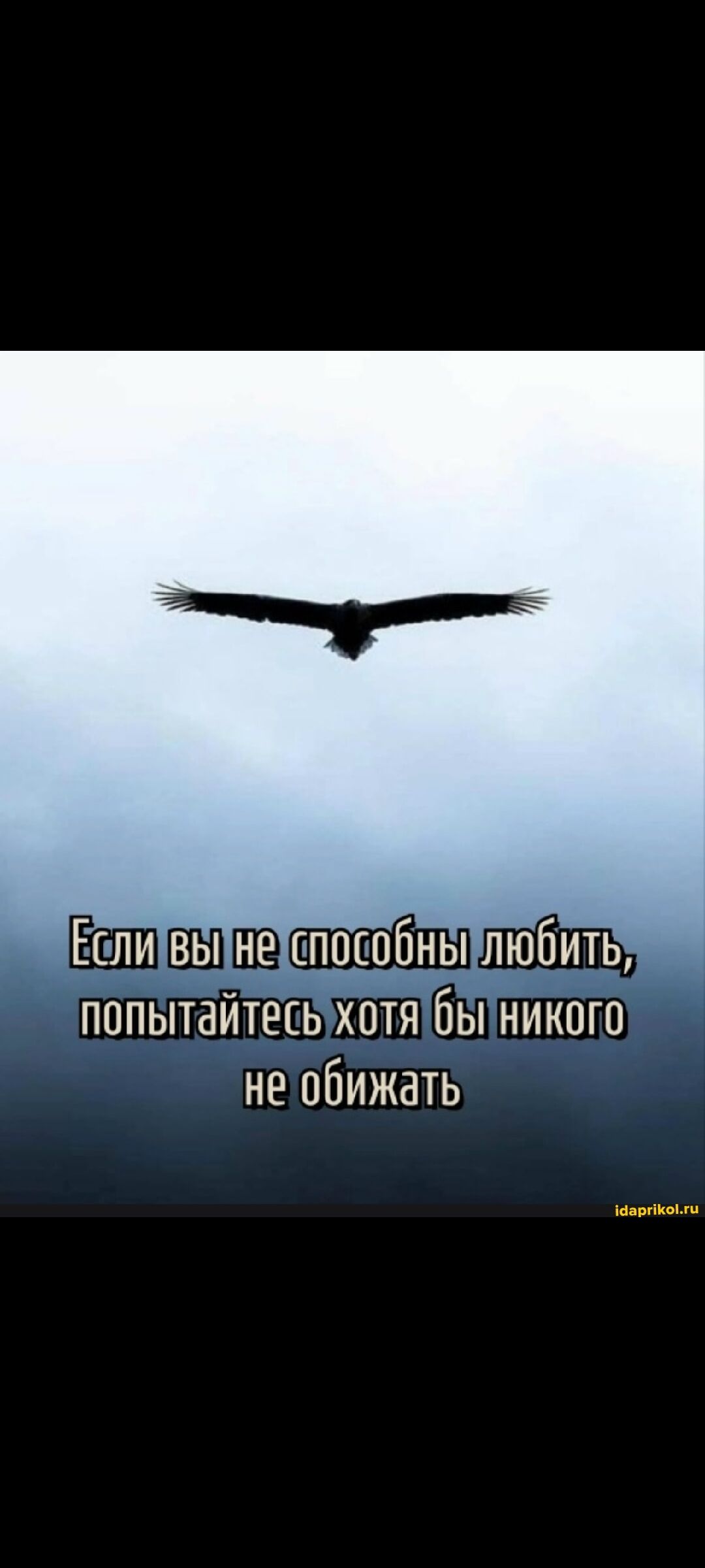 Если вы не способны любить, попробайтесь хотя бы никого не обижать