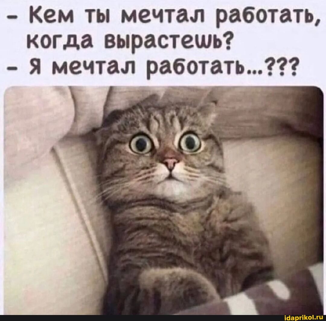 - кем ты мечтал работать, когда вырастешь? - я мечтал работать...???