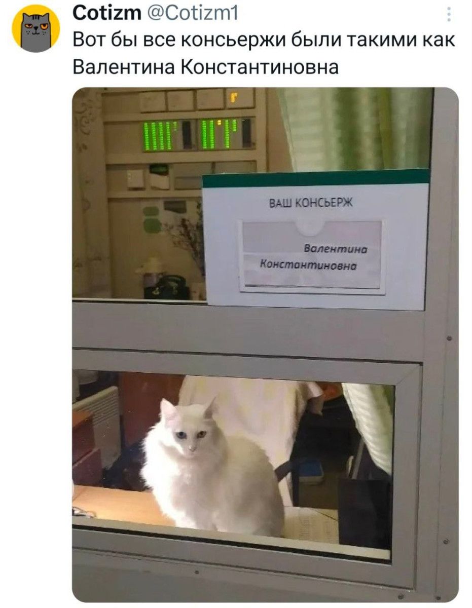 Вот бы все консьержи были такими как Валентина Константиновна