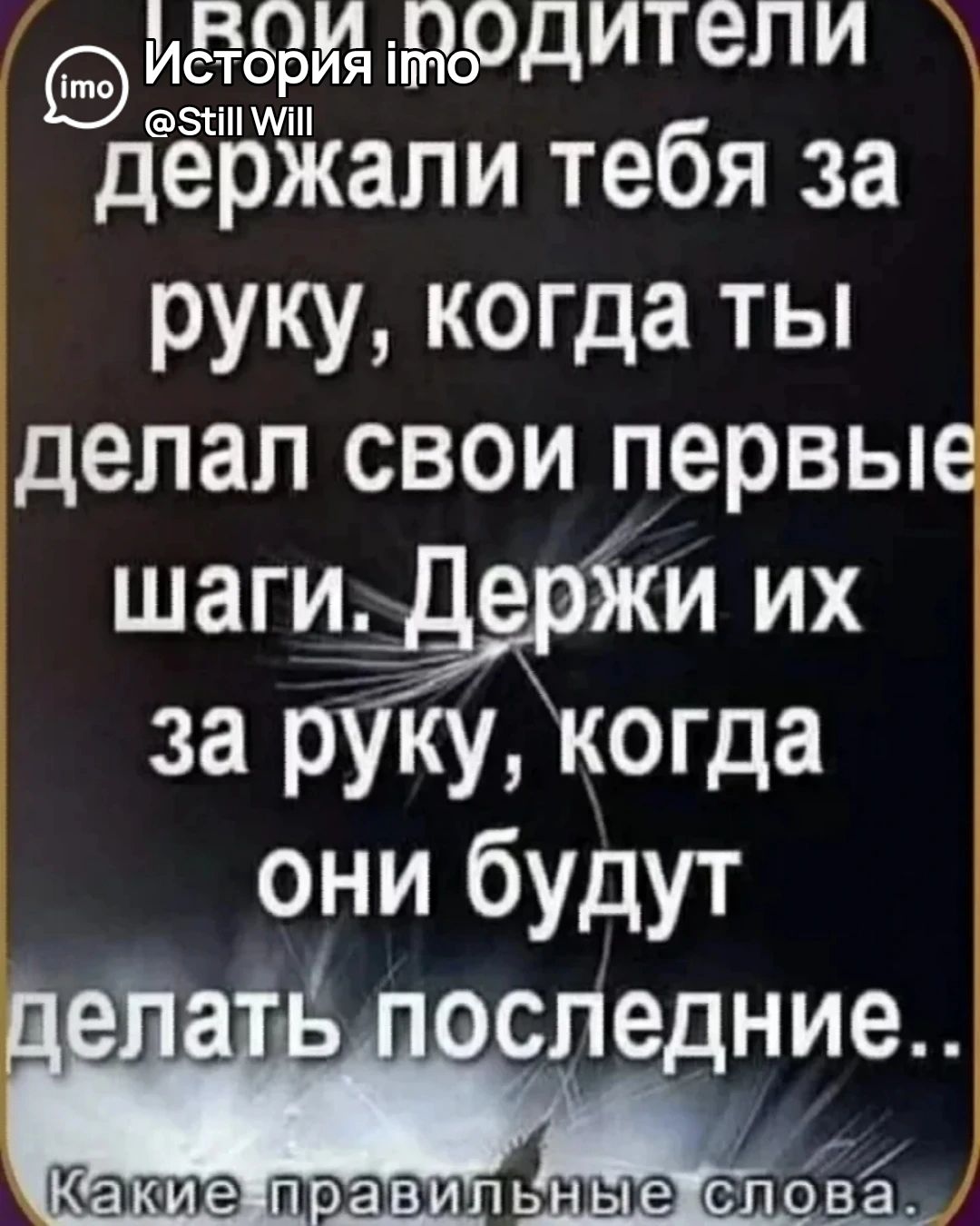 Ваши родители держали тебя за руку, когда ты делал свои первые шаги. Держи их за руку, когда они будут делать последние..
