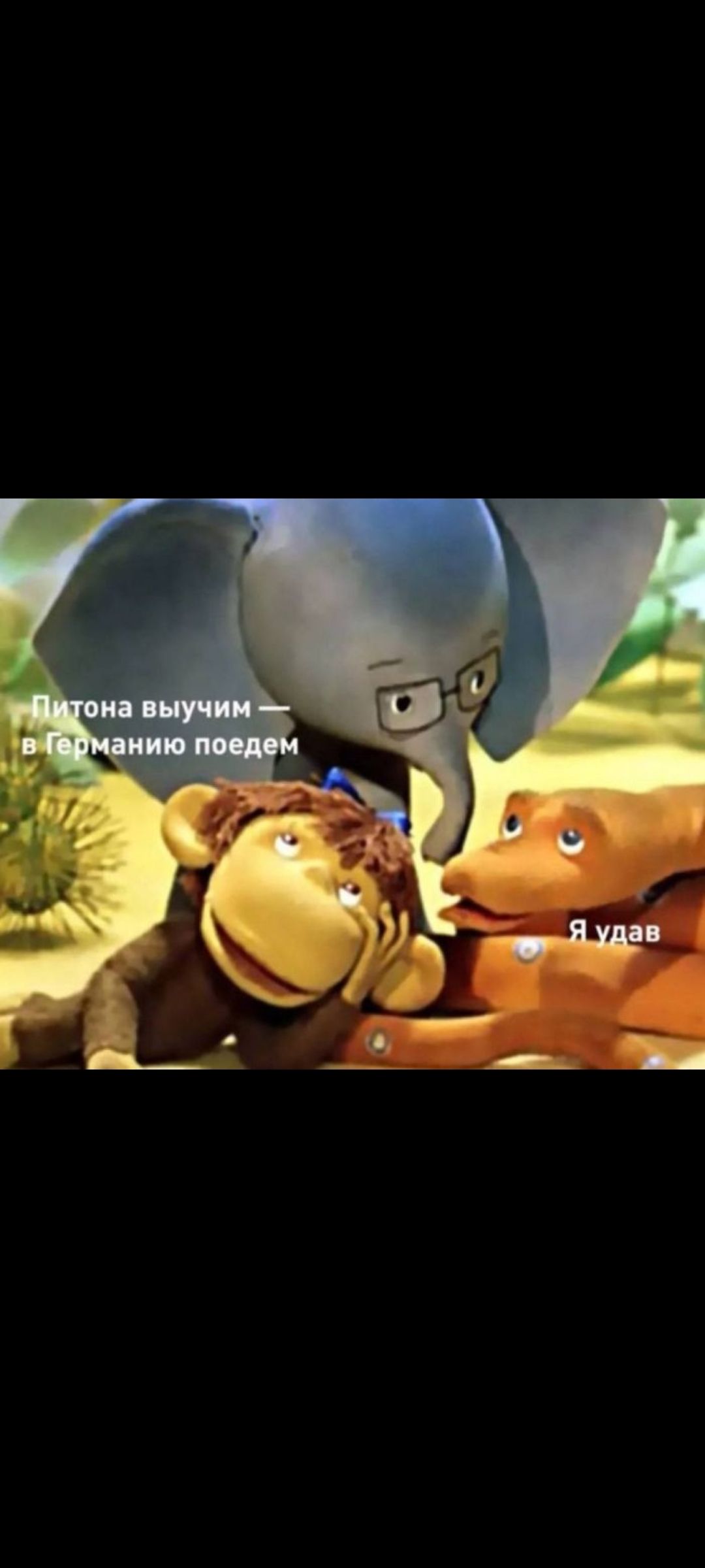 Питона выучим — в Германию поедем
Я удав