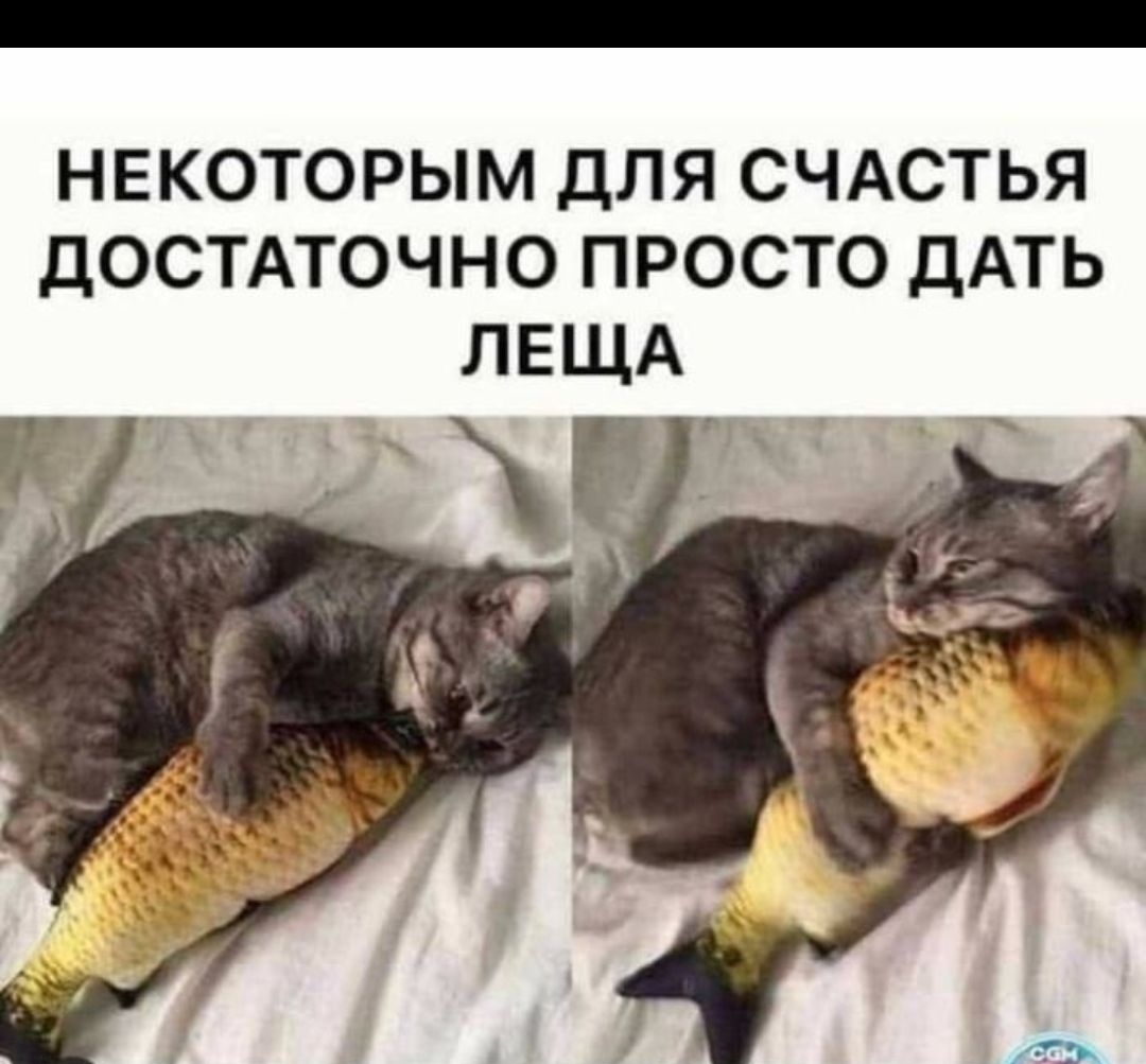 Некоторым для счастья достаточно просто дать леща