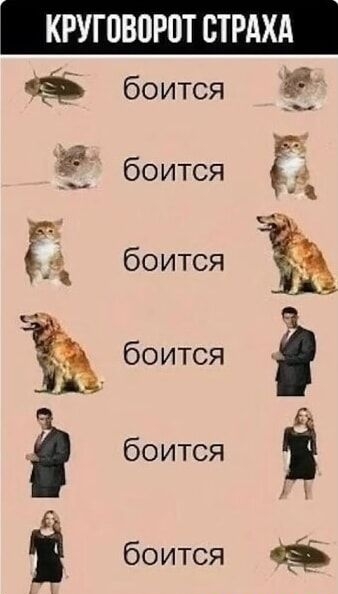 КРУГОВОРОТ СТРАХА
боится
боится
боится
боится
боится
боится