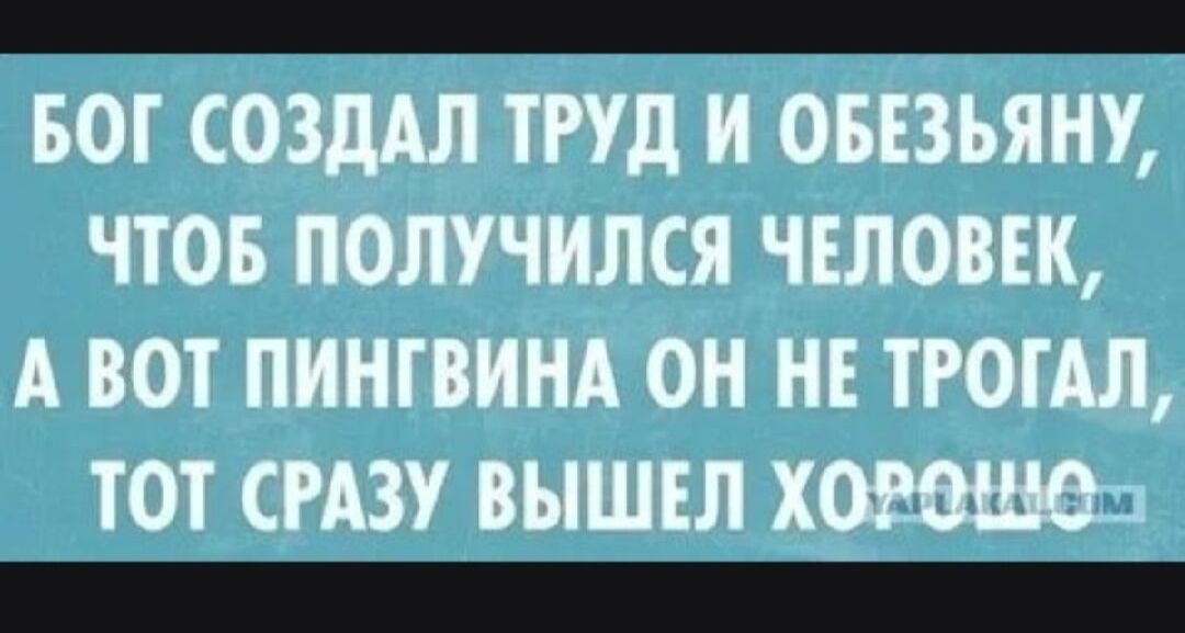 Бог создал труд и обезьяну, чтобы получился человек, а вот пингвина он не трогал, тот сразу вышел хорошим
