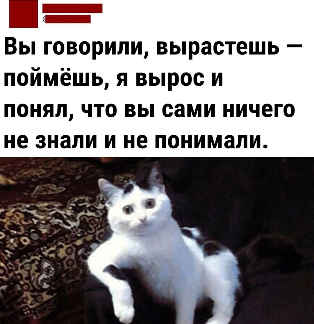 Вы говорили, вырастешь — поймёшь, я вырос и понял, что вы сами ничего не знали и не понимали.