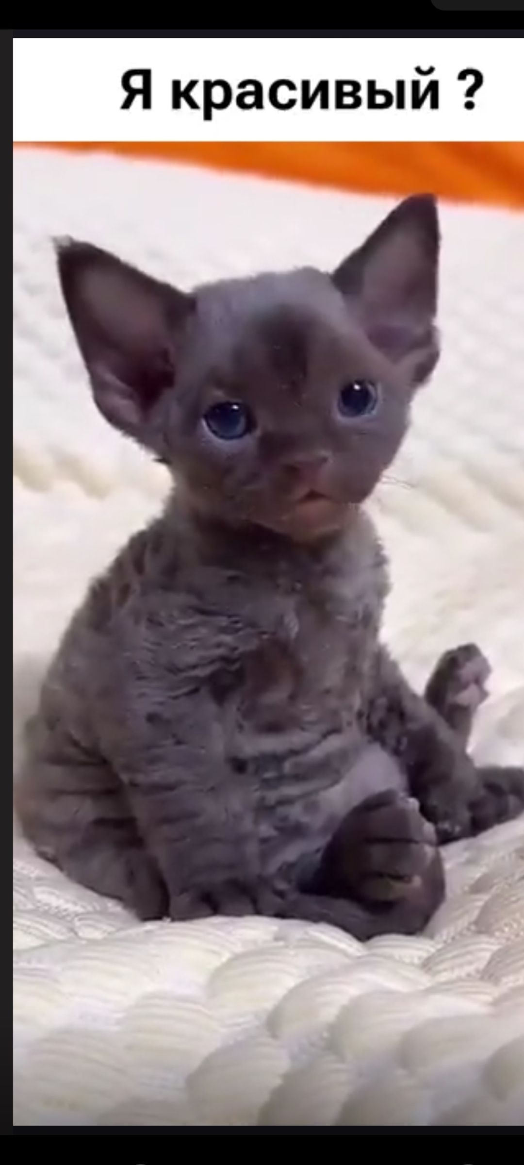 Я красивый ?