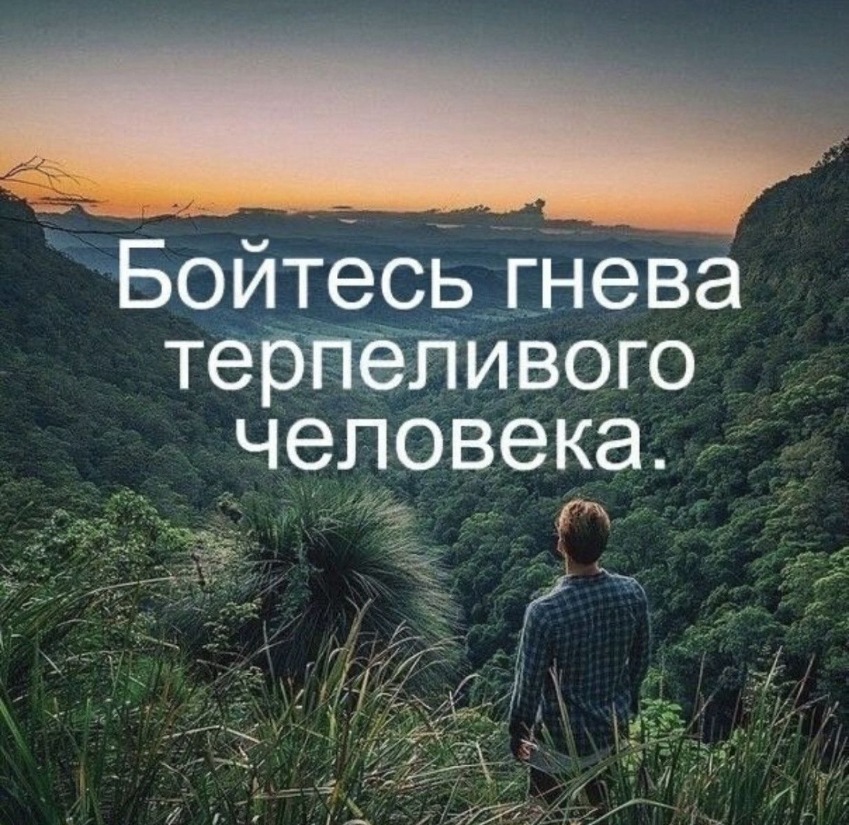 Бойтесь гнева терпеливого человека.