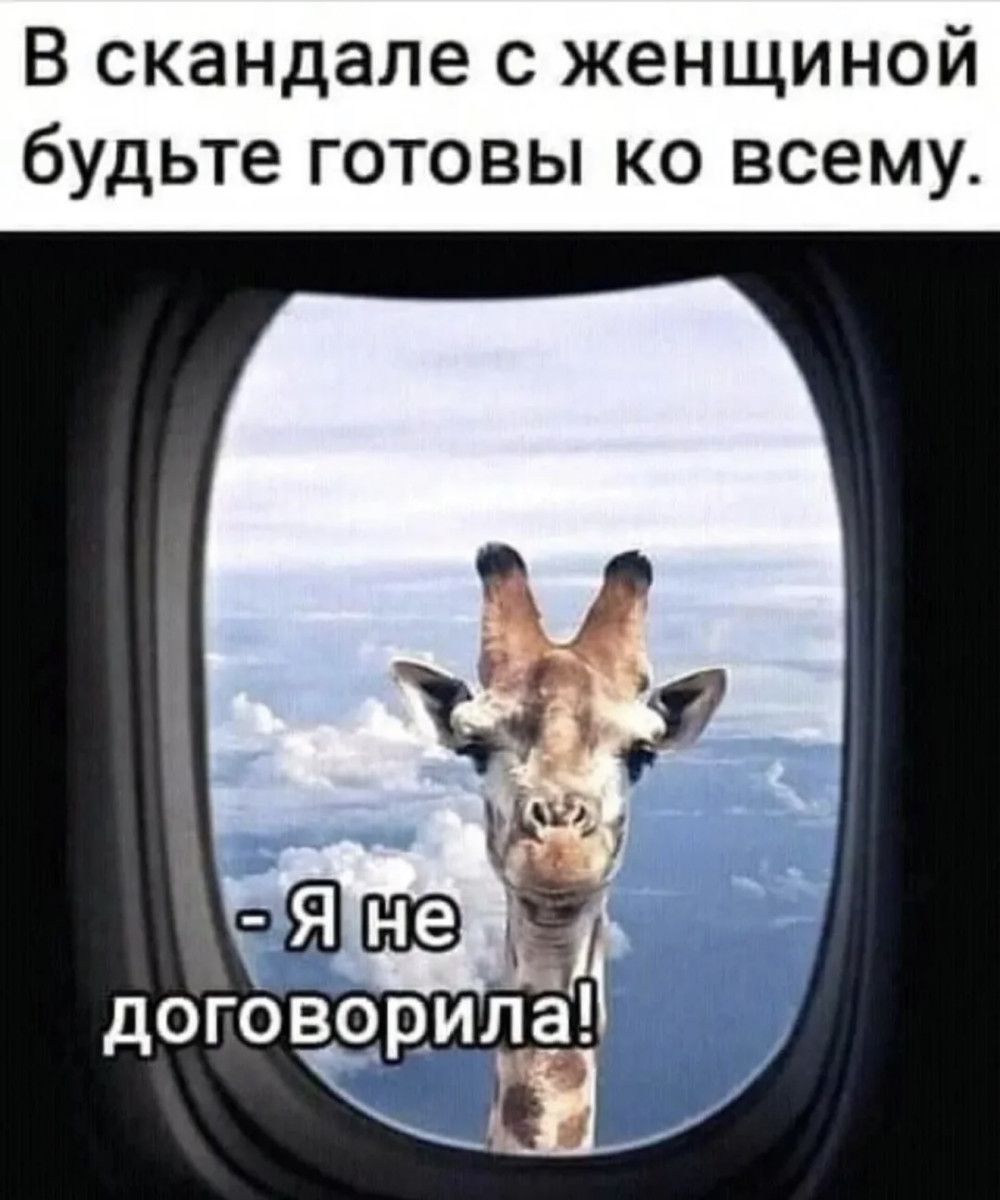 В скандале с женщиной будьте готовы ко всему. - Я не договорила!