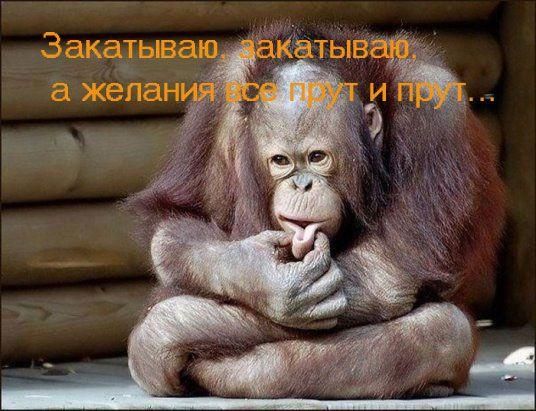 Закапываю, закапываю, а желания все прут и прут...