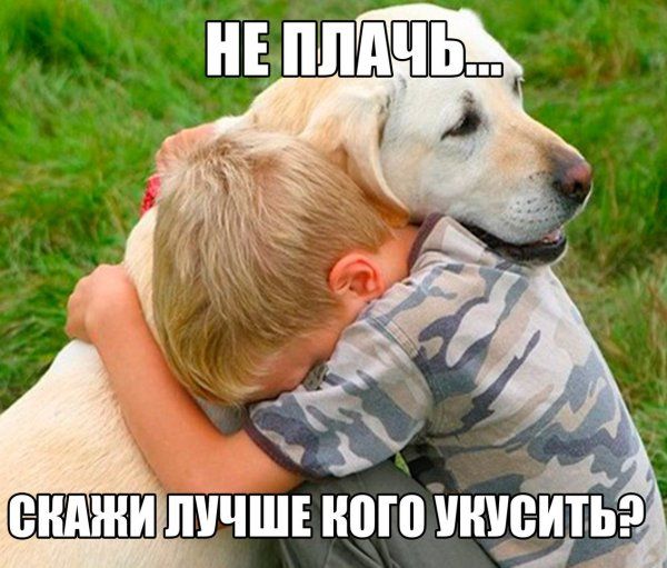 НЕ ПЛАЧЬ... СКАЖИ ЛУЧШЕ КОГО УКУСИТЬ?
