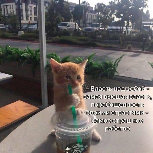 - Власть над собой - самая высокая власть, порабощенность своими страстями - самое страшное рабство