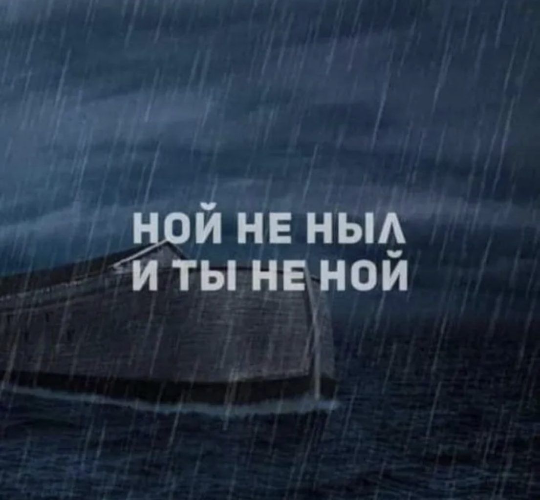 НОЙ НЕ НЫЛ И ТЫ НЕ НОЙ