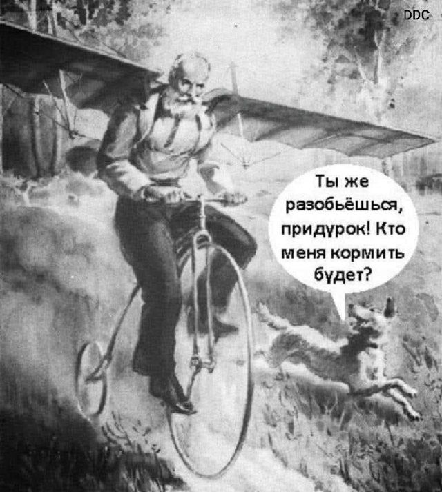 Ты же разобьёшься, придурок! Кто меня кормить будет?