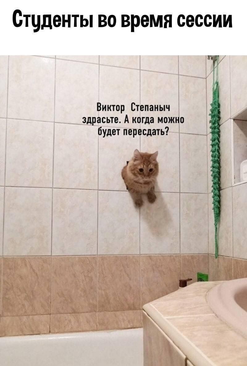 Студенты во время сессии
Виктор Степаныч здрасте. А когда можно будет переседать?