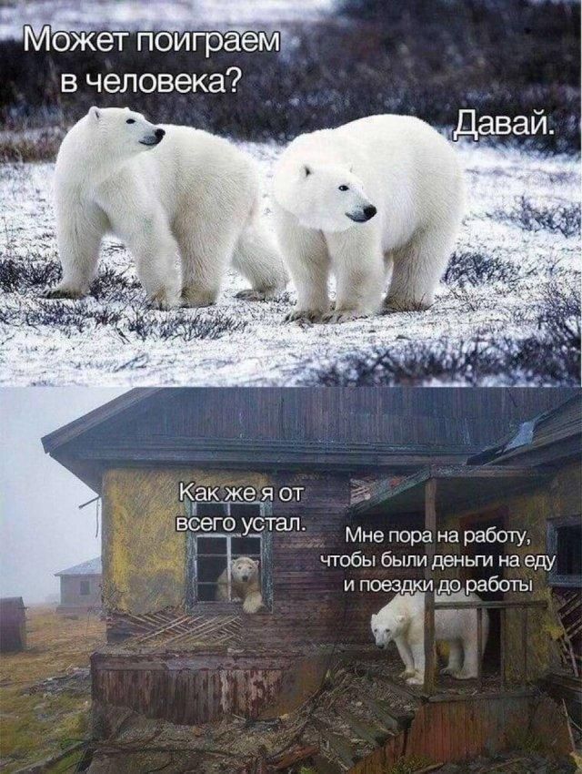 Может поиграем в человека? Давай. Как же я от всего устал. Мне пора на работу, чтобы были деньги на еду и поездки до работы