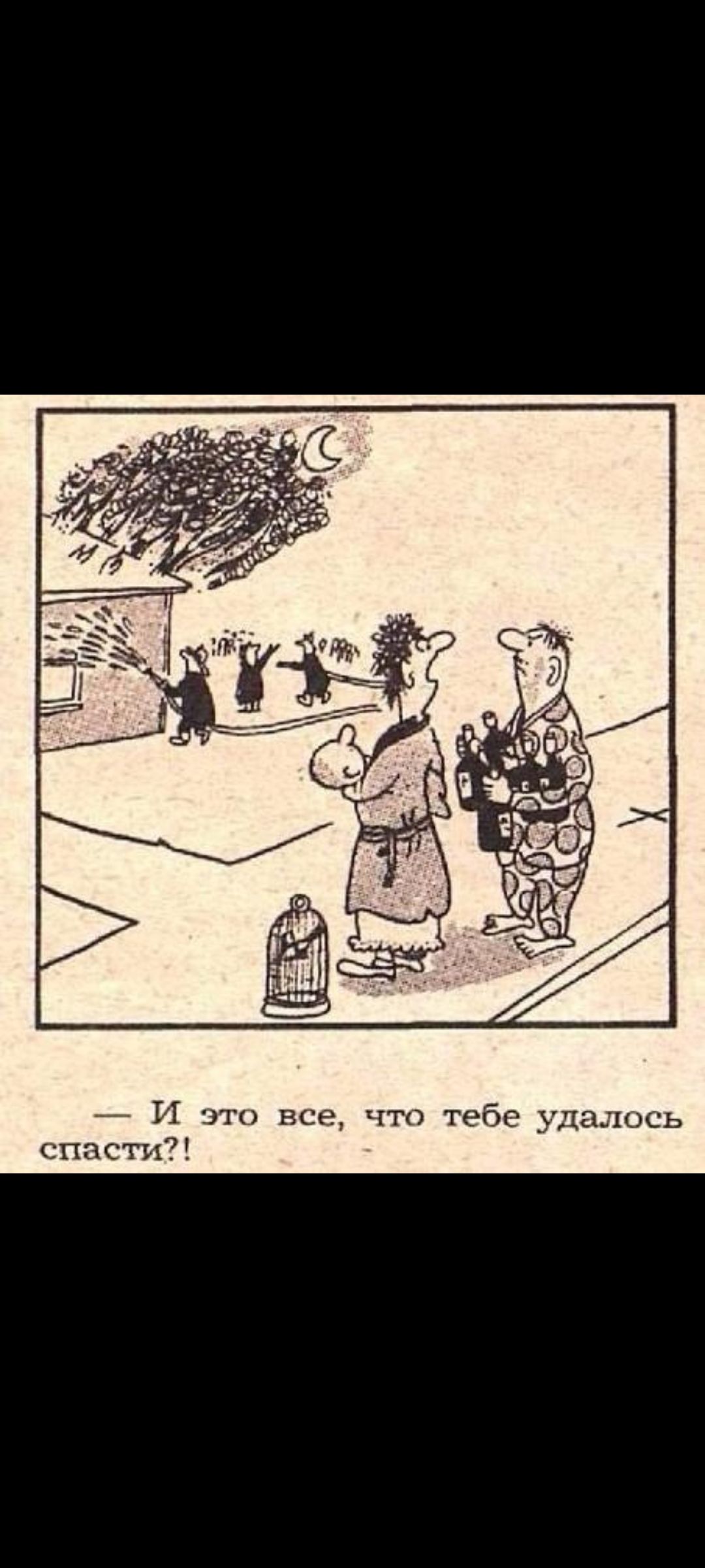 — и это все, что тебе удалось спасти?!