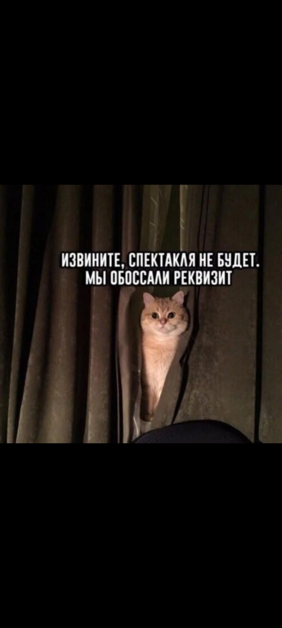 ИЗВИНИТЕ, СПЕКТАКЛЯ НЕ БУДЕТ. МЫ ОБОССАЛИ РЕКВИЗИТ