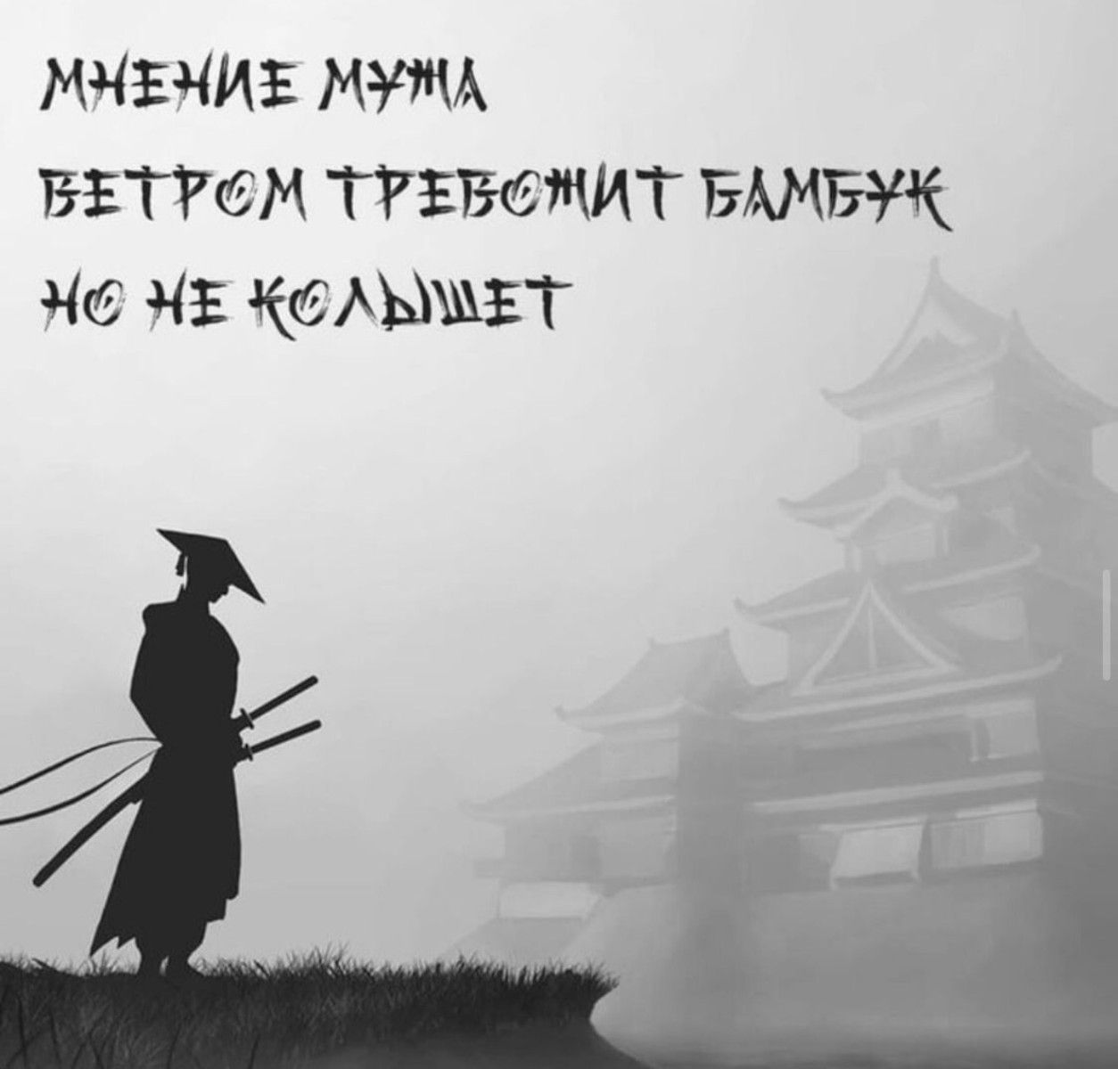 МНЕНИЕ МУЖА
ВЕТРОМ ТРЕБОВИТ БАМБУК
НО НЕ КОЛЫШЕТ