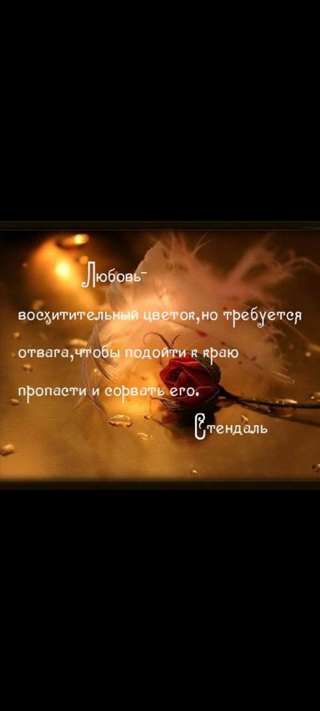 Любовь — восхитительный цветок, но требуется отвага, чтобы подойти к краю пропасти и сорвать его. Стендаль