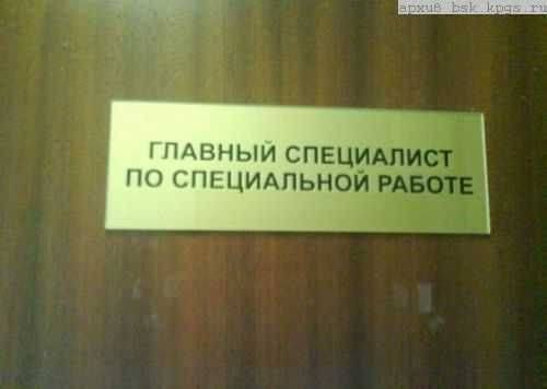 ГЛАВНЫЙ СПЕЦИАЛИСТ ПО СПЕЦИАЛЬНОЙ РАБОТЕ