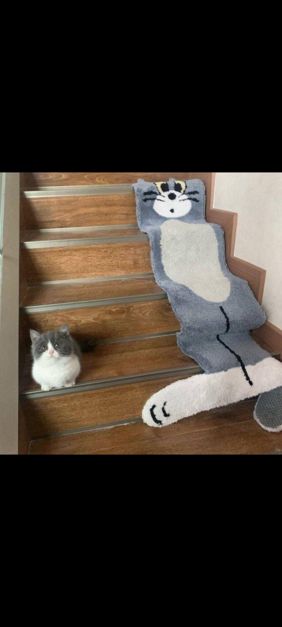 Маленький кот на лестнице рядом со смешным дорожным ковриком-кошкой