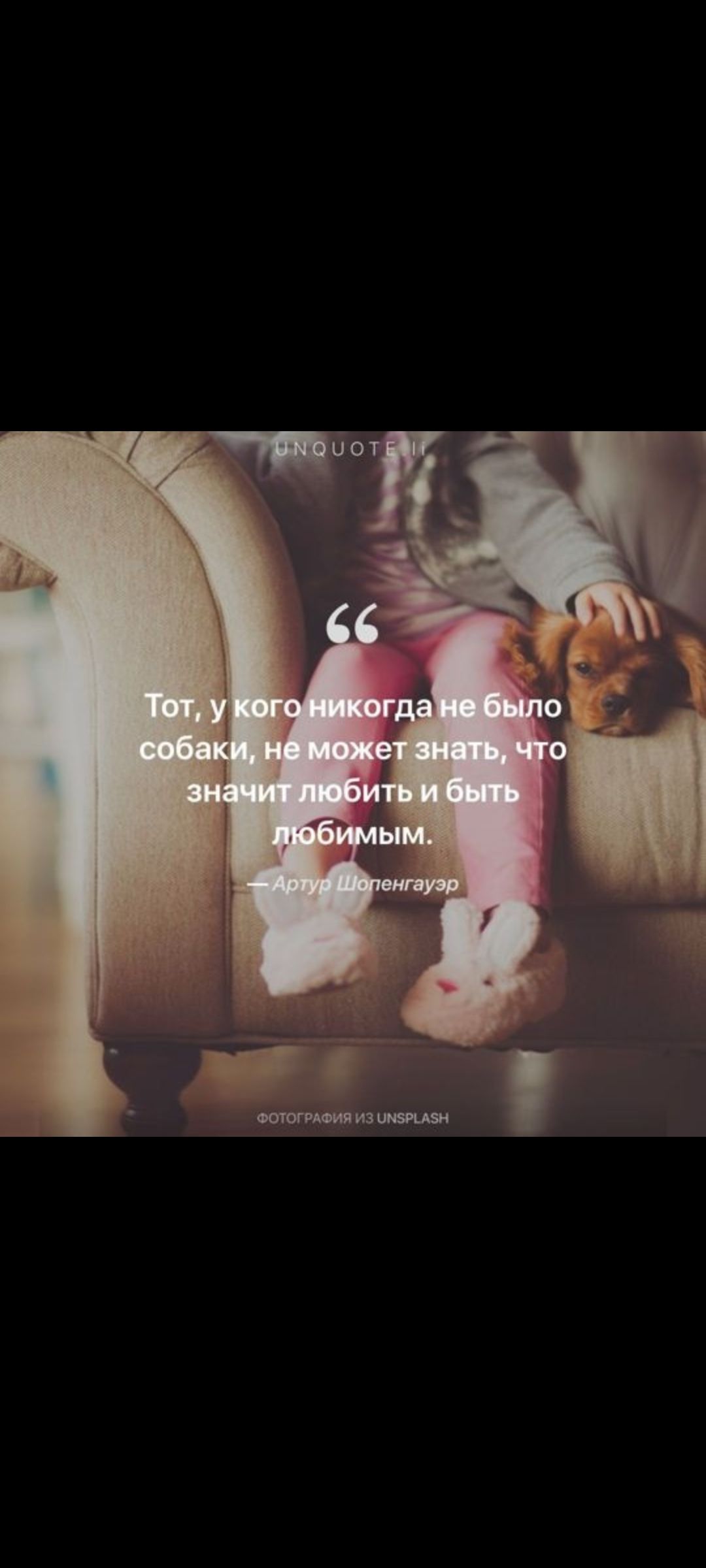 Тот, у кого никогда не было собаки, не может знать, что значит любить и быть любимым. — Артур Шопенгауэр