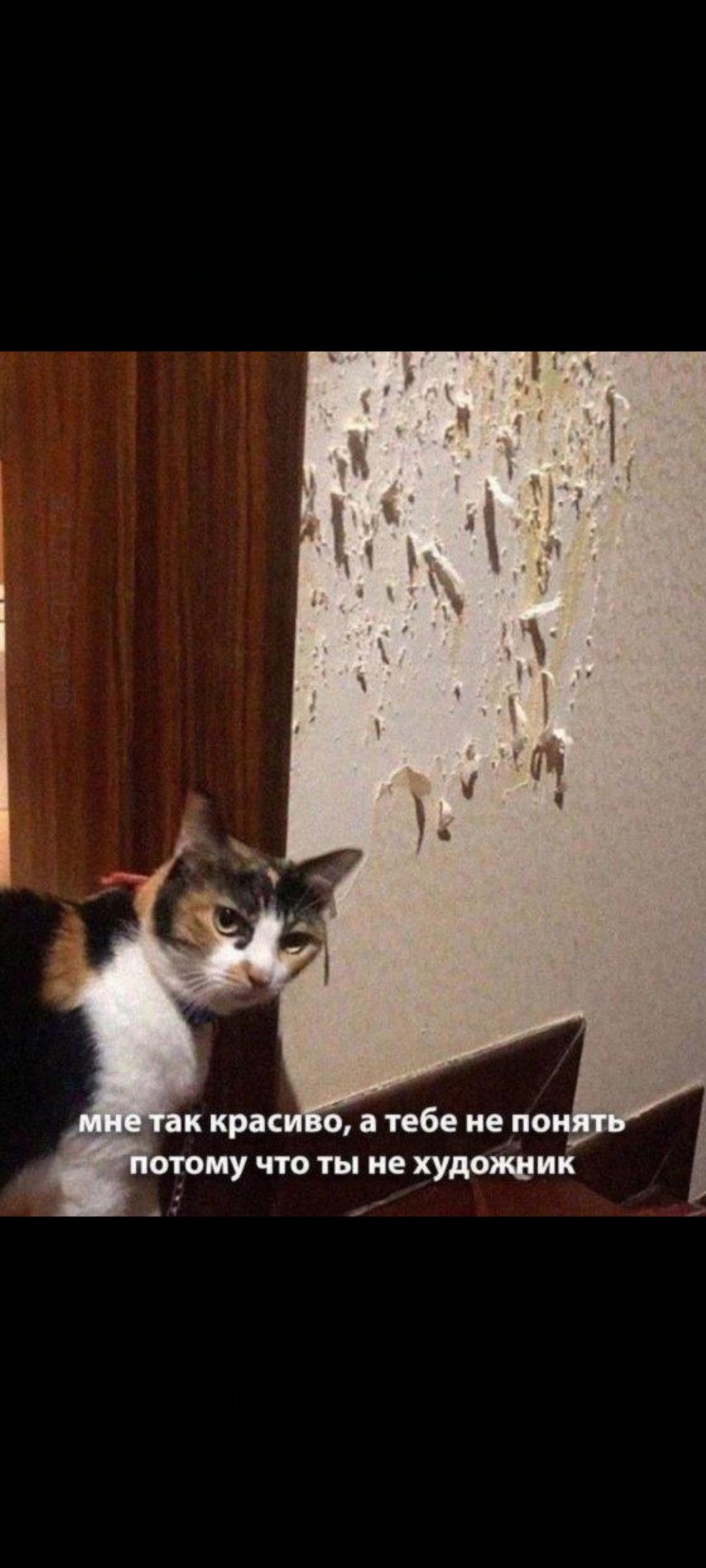 мне так красиво, а тебе не понять потому что ты не художник